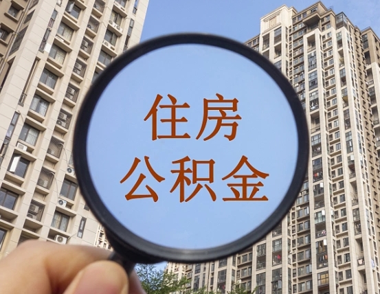 昌乐退休后查不到公积金明细了吗（退休后公积金查询不到原因）